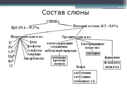 Биохимия слюны
