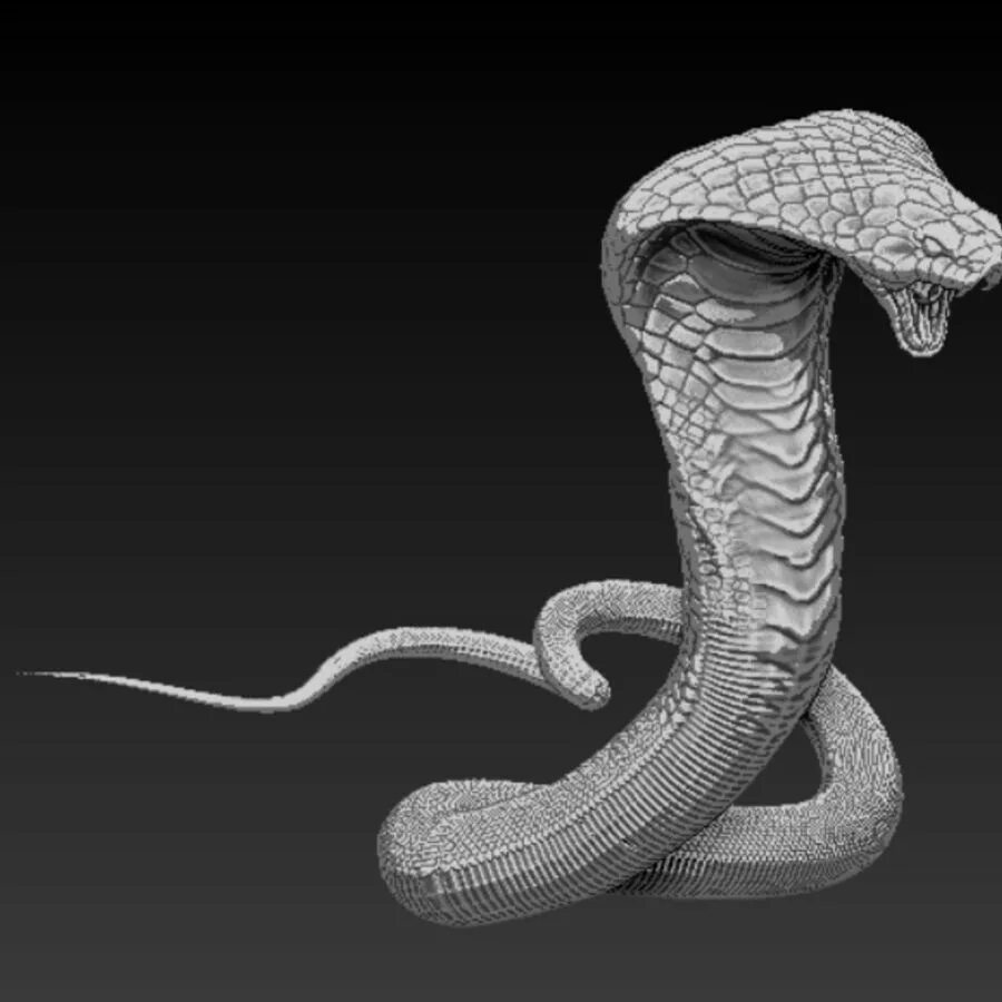 Snake мод. Королевская Кобра 3d. Кобра STL. Cobra 3d model. Пятиголовая Кобра 3dмодэль.