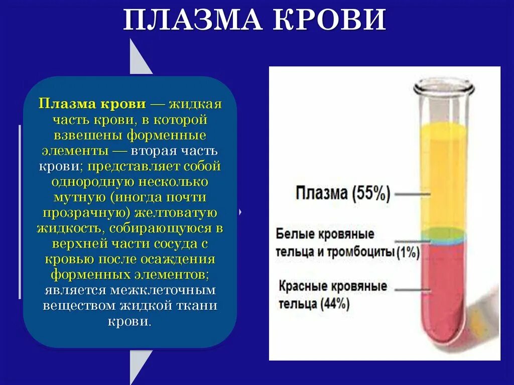 Форма плазмы крови