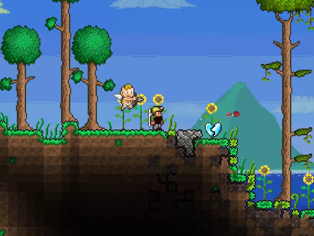 Как играть в террарию на пк пиратка. Террария. Террария сетевая игра. Terraria платформер. Террария по сети.