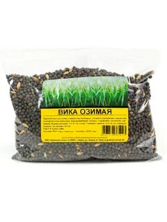 Вика озимая
