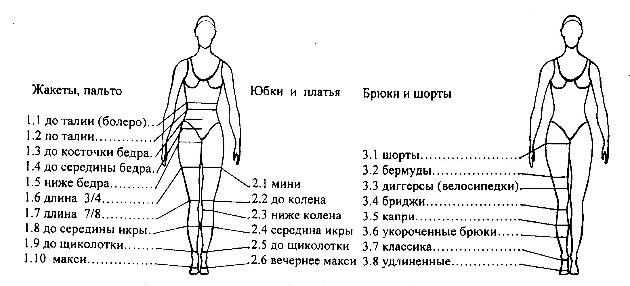 Бедро сколько см. Длина до середины бедра. До середины бедра это где. Длины платьев названия. Где находится середина ькдпа.