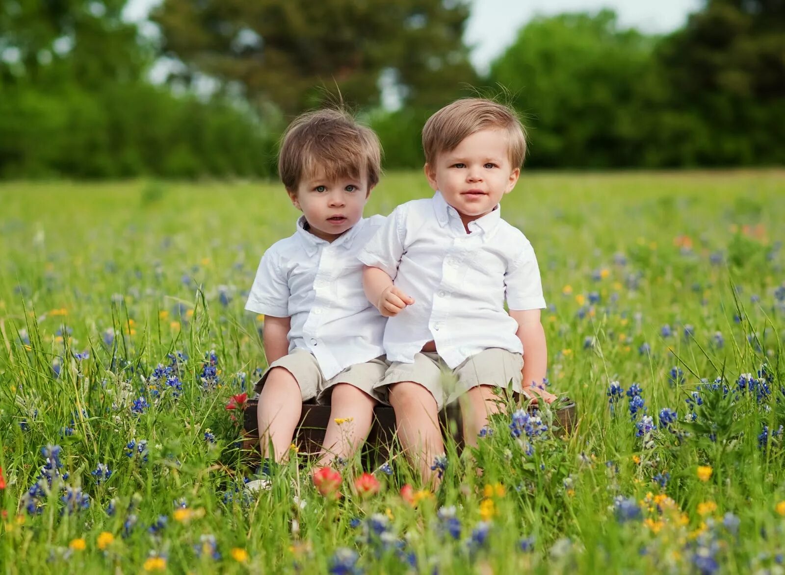 Два близнеца. Близнецы twins. два близнеца радостный мальчиков. три брата близнеца картинки для детей. три сына близнеца картинка картинка.