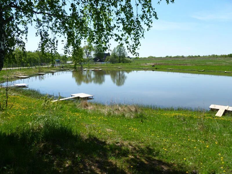 Деревня верховая калуга пруд. Пруды калужской обл. Озеро бездон калужская область фото. Пруды калужской обл. Озеро лесхоз спас деменск.