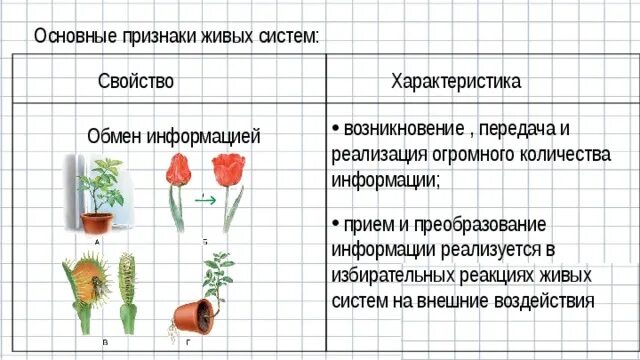 Типы признаков живых систем. Типы признаков живых систем