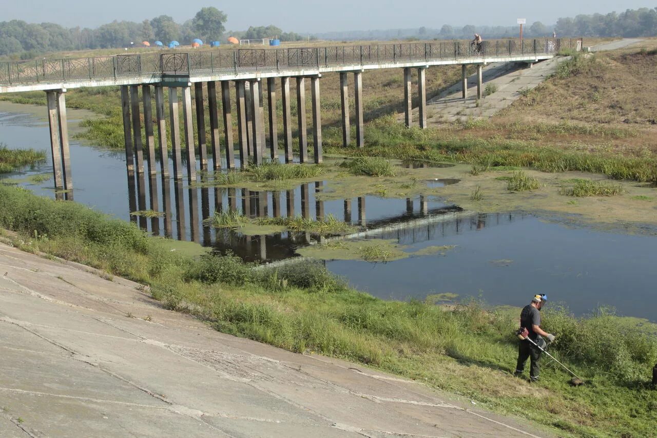 Межень реки это. Плетёнка (приток трубежа). Низкая межень. Летняя межень. Низкая межень.