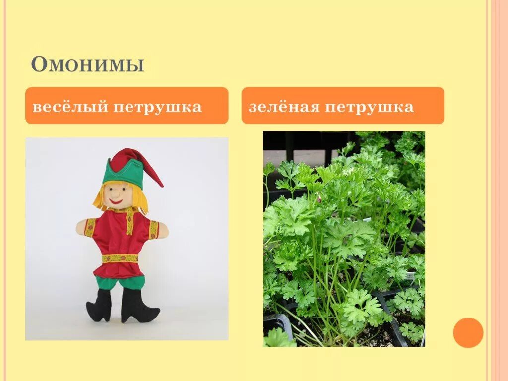 очки омонимы. омонимы. петрушка омонимы. гранат омонимы. модель слов лук и коса.