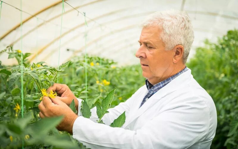 Наука про лайк. Researcher id: q-2108-2017 + mabiala gilbert. Гармония между природой и человеком. Late science. Человек в лаборатории.