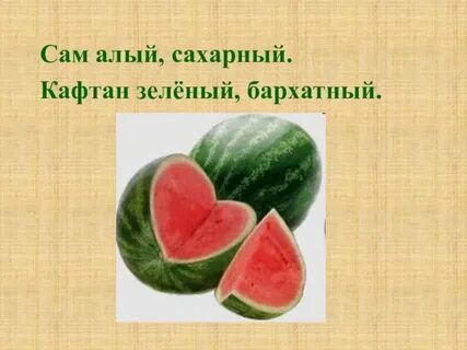Загадка сам алый сахарный кафтан зеленый