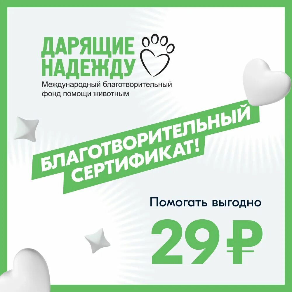 Отзыв благотворительному фонду от родителей. Благотворительная организация подари жизнь. Благотворительность детям. Отзывы о благотворительном фонде. Подари жизнь благотворительный фонд.