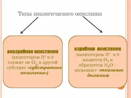 Способы биологического окисления