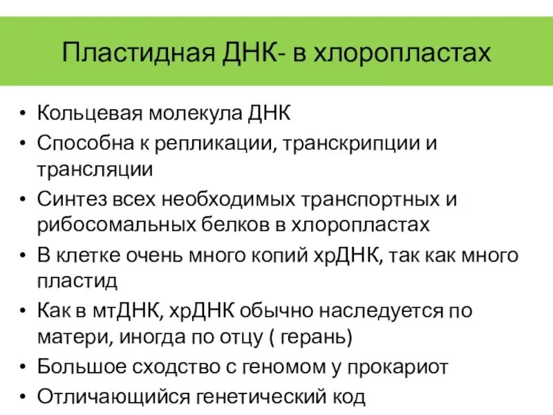 Выполняемая функция генетического аппарата