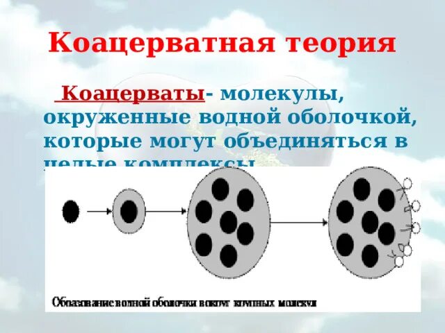 Коацерватная гипотеза. Коацерватная теория. Строение коацерватов. Коацерватные капли.