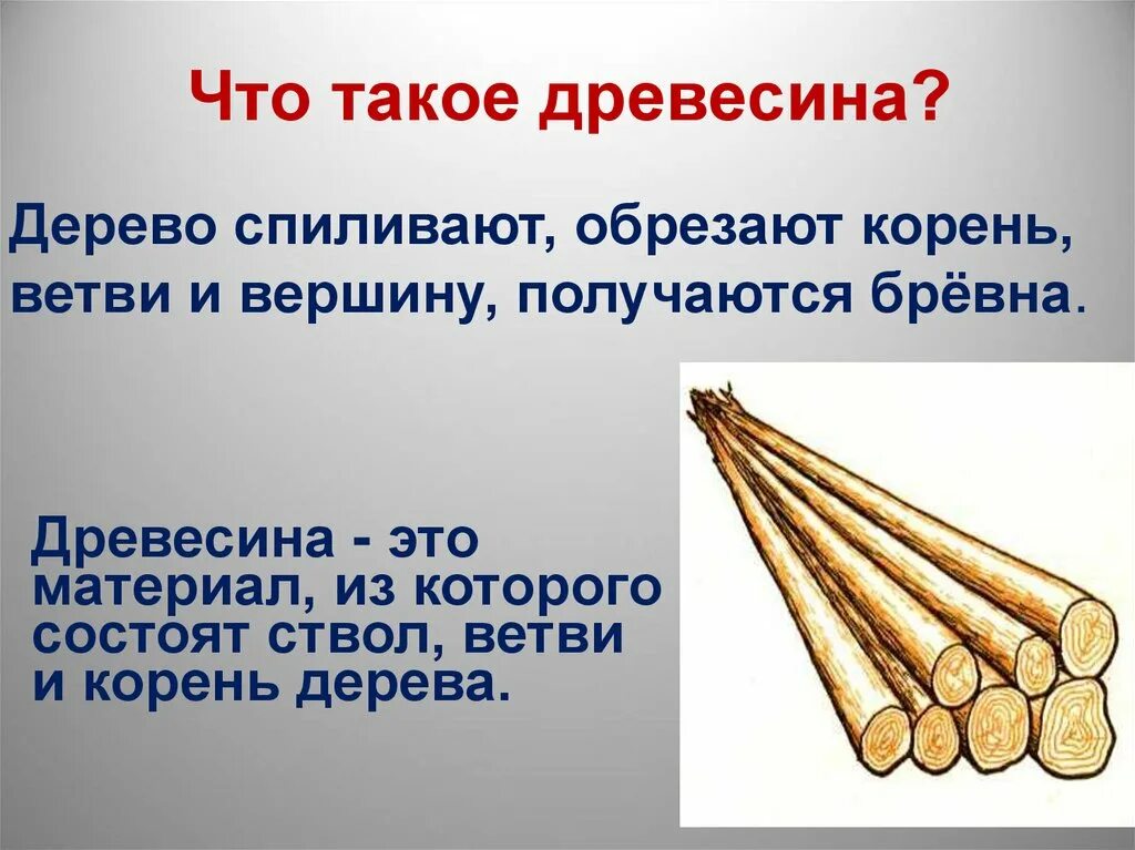 Проект по технологии на тему древесина Столярные шиповые соединения