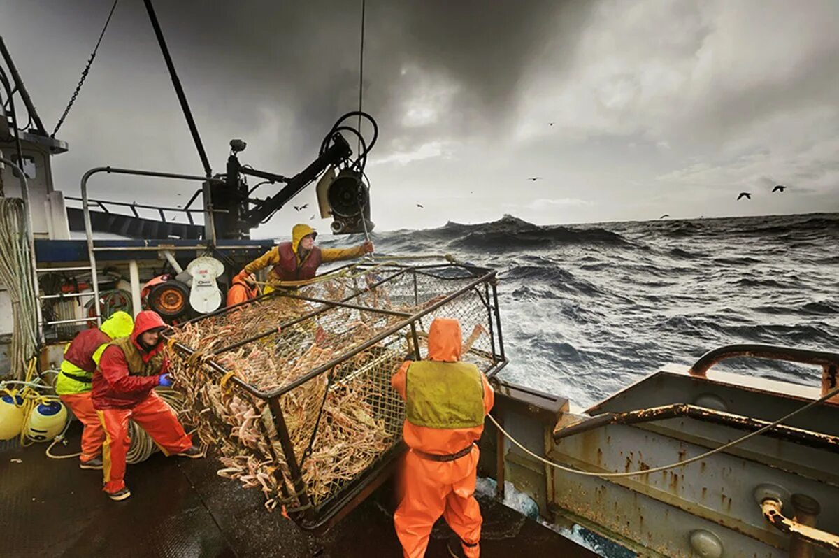 Краболовы Охотское море. Ловля крабов на Аляске. Добыча краба. Ловля краба на Камчатке. Ловля суда