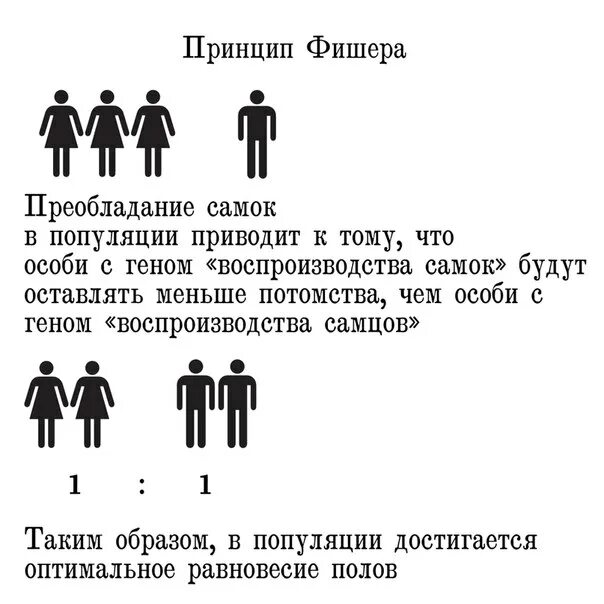 Песня по статистике 10 девчонок. Соотношение мужчин и женщин в японии. по статистике на 10 девчат 9 ребят. на 9 девчонки по статистике.