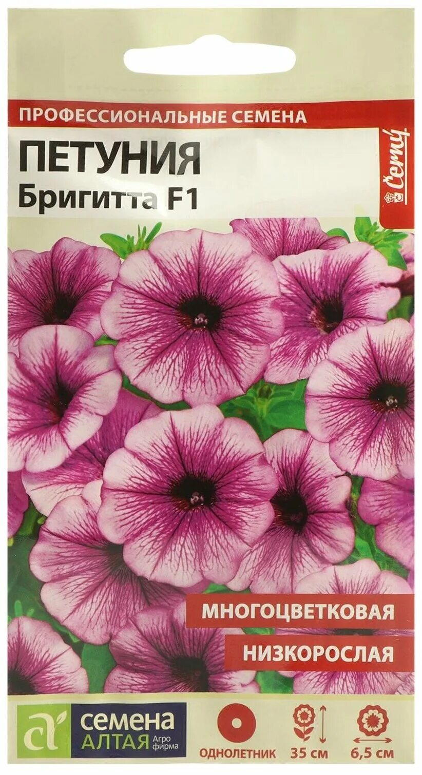 Петуния дримс коралловое утро семена алтая. Петуния семена алтая. Петуния ламбада лососевое утро. Петуния афродита белое и красное. Петуния фриллитуния белая.