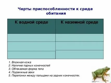 Дятел приспособленность к среде обитания таблица