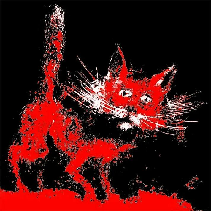 Cats me red. Красный кот. Кот на Красном фоне. Кот арт на Красном фоне. Красный котенок.