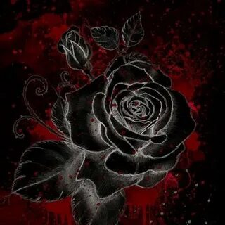 Black rose 2