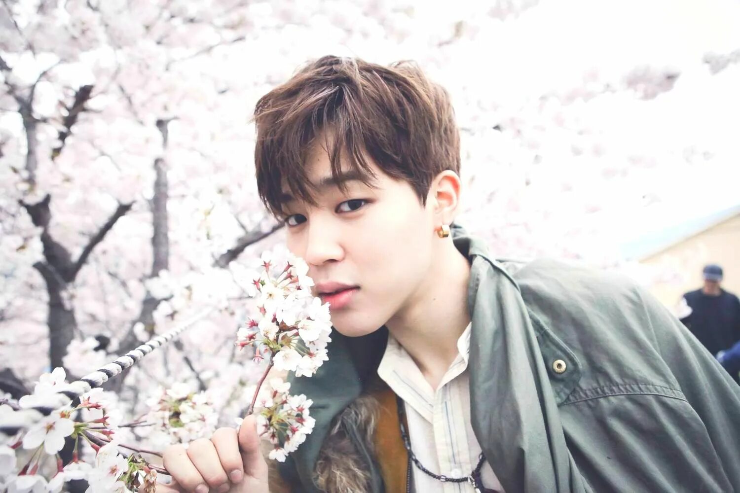 Ю джимин. Yoo jimin. Ю джимин. Bts hyyh pt 1. Ю джимин.