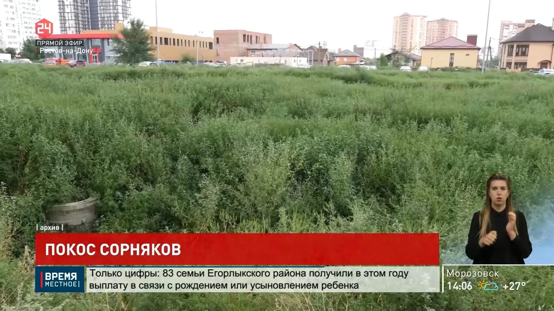Улица песчаная 21 ростов на дону миграционная служба. Ростов ул песчаная 21. Песчаная 21 ростов на дону миграционная. Г. Миграционная служба песчаная 21.