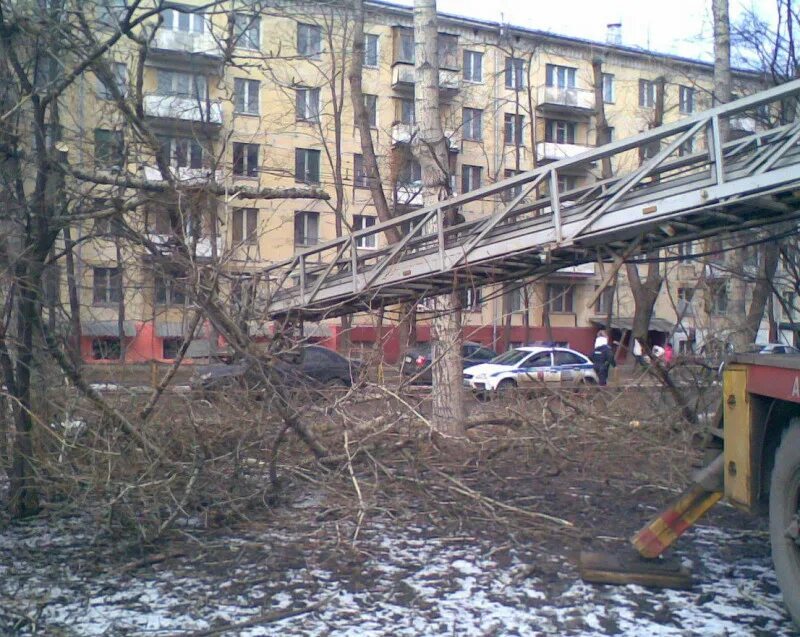 Вырубка деревьев на бульваре карбышева. Снос пятиэтажек бульвар генерала карбышева. бульвар генерала карбышева 13а. бул. генерала карбышева, 14. проект бульвара генерала карбышева после сноса пятиэтажек.