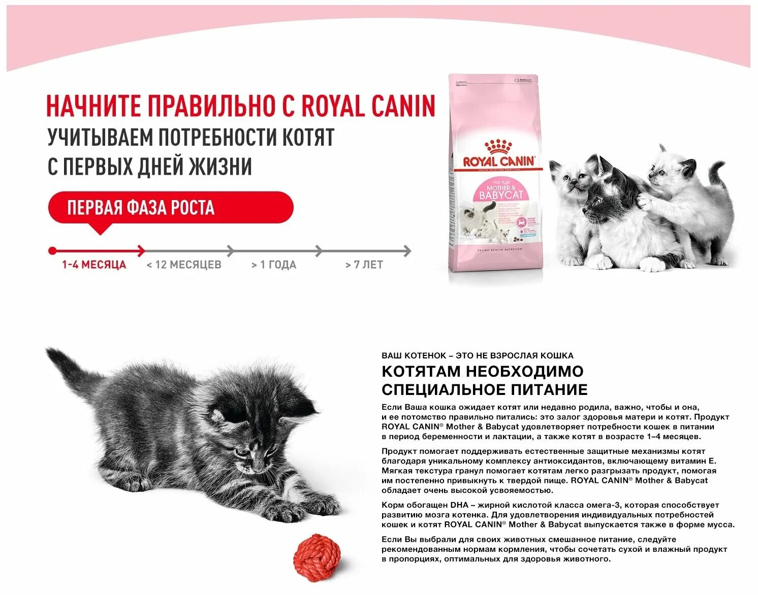 Корм для беременных и кормящих кошек. Корм для котят Royal Canin Babycat. Сухой корм для беременных и кормящих кошек, для котят Royal Canin mother&Babycat. Корм сухой для котят Royal Canin mother and Babycat 2кг. Роял Канин для котят и беременных кошек.