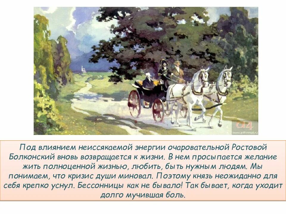 Поездка князя андрея в отрадное. 1 Встреча с дубом Андрея Болконского. Две встречи Андрея Болконского с дубом.