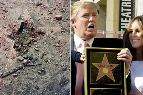 Звезда на аллее славы в голливуде трамп