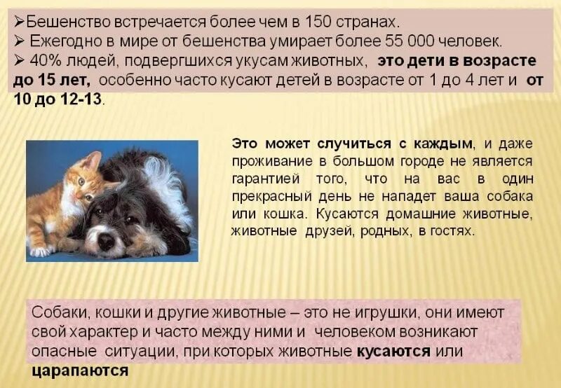 Сколько времени умирает собака. Собака в ванной. Ванна для собак. Сколько времени умирает собака. Сколько времени умирает собака.