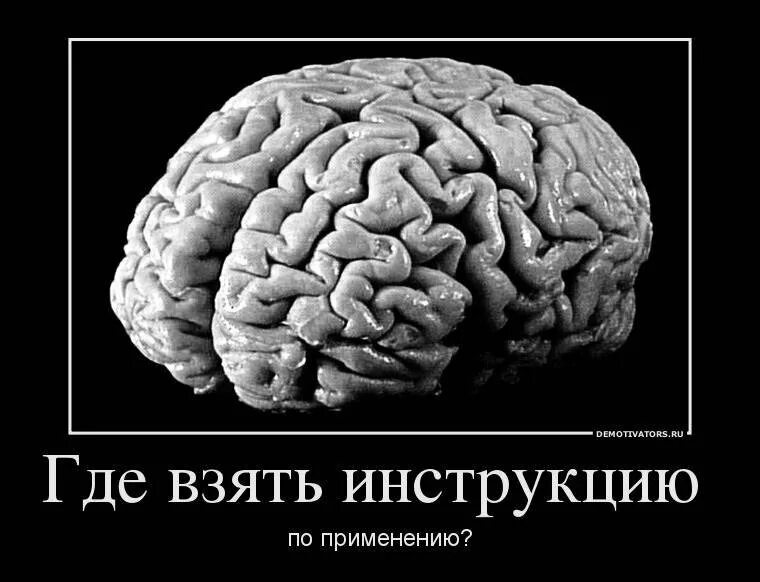 Картинка про мозг. Мозг прикол. Шутки про мозг. Шутки про мозги. Смешные шутки про мозг.