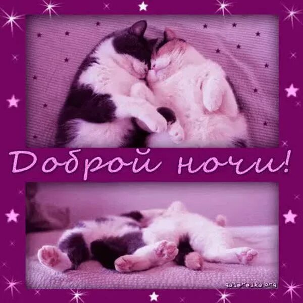 сладкой ночи. спокойной ночи. спокойной ночи любимому. анимашки спокойной ночи любимая. анимация спокойной ночи любимому.
