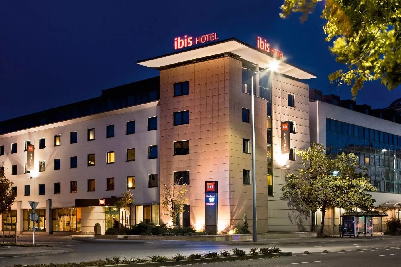 Ibis hotel istanbul. Птица алый ибис. Красноногий ибис. Сеть гостиниц ибис. Ибис ibis.