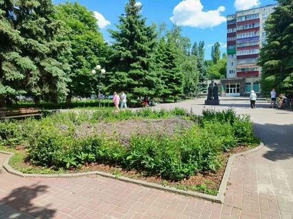 О старовойте