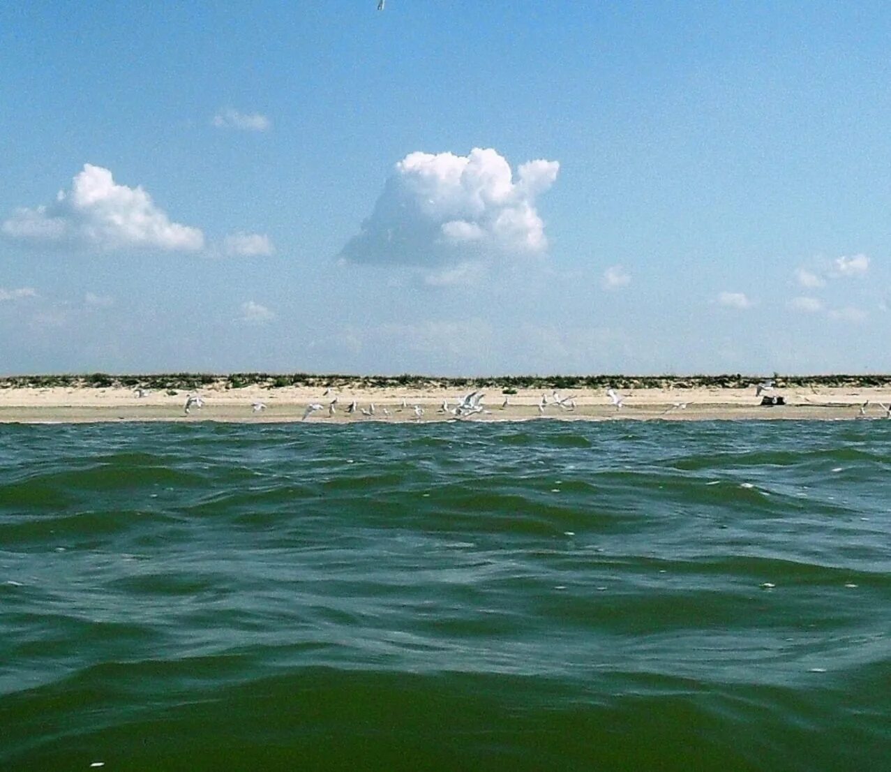 Азовское море в августе. Ачуевская коса приморско ахтарск. Ачуевская коса. Ачуевская коса. Ачуевская коса шторм.