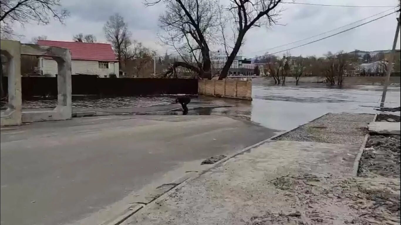 Паводок в брянске сегодня 2024. Наводнение фото. Наводнение Брянск 2024. Брянск паводок. Половодье Брянск 2013 фото.