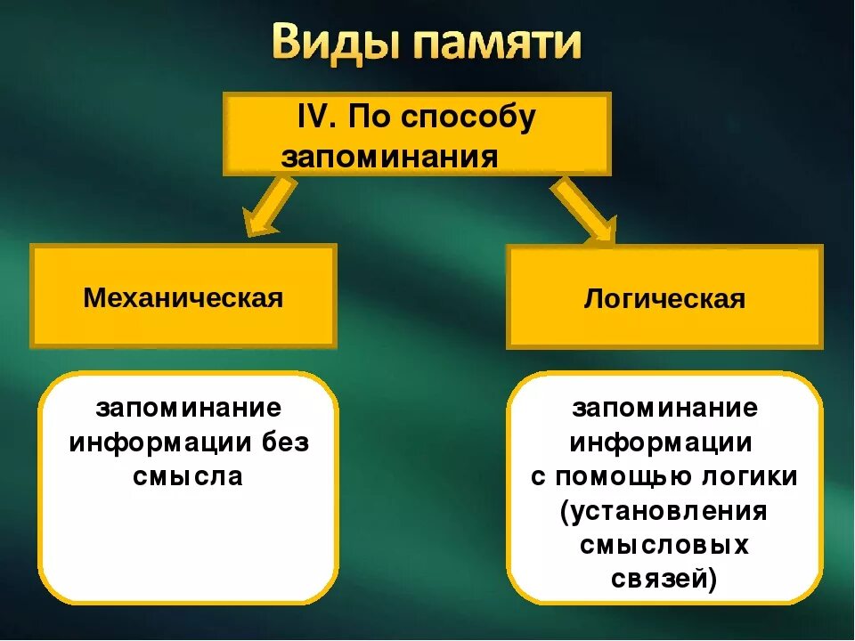 Виды памяти механическая и логическая. Классификация видов памяти. Механическая и логическая память в психологии. Логический вид памяти. Чем отличаются виды памяти