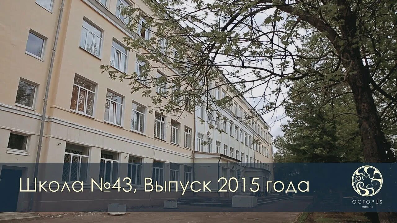 Школа 43 Новосибирск. Школа 43 Ярославль. Школа 43 Одесса. Школа 43 в 2015 году. Школа 43 мурманск