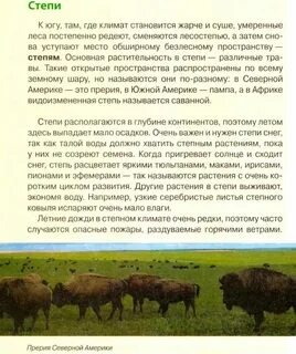 Степи америки называются