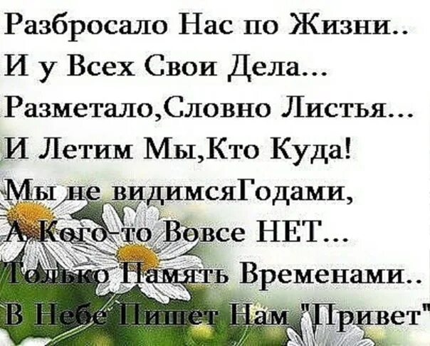 Мои друзья нас разбросала жизнь песня. Разбросало нас по жизни и у всех свои дела. разбросало нас по жизни и у всех свои дела картинки. разбросало нас по жизни и у всех свои дела открытка. стихотворение разбросало нас по жизни.