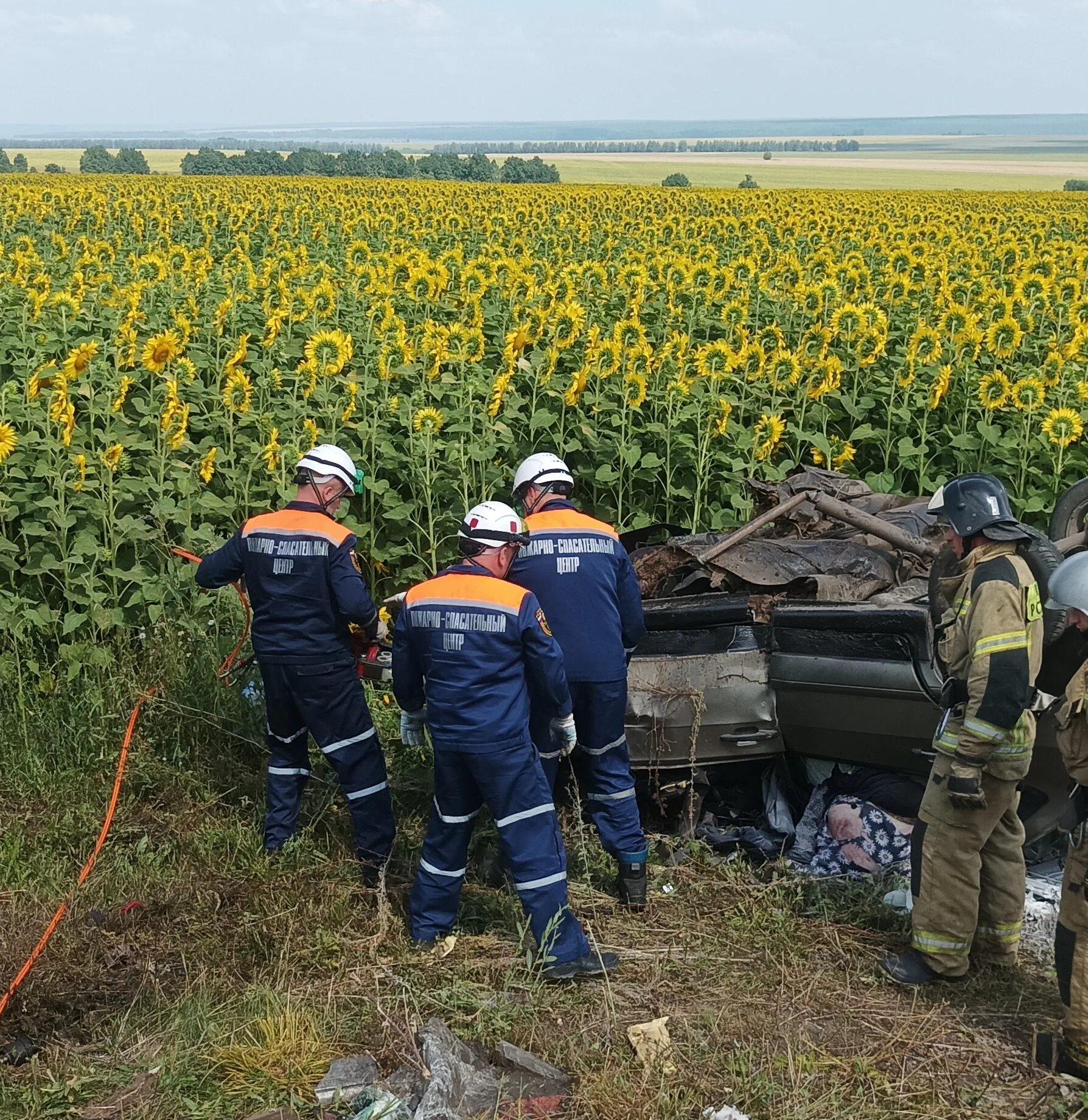 Новости пензы авария. Авария в Шемышейском районе Пензенской области. Аварии трасса Пенза Шемышейка. Авария в Шемышейском районе вчера.