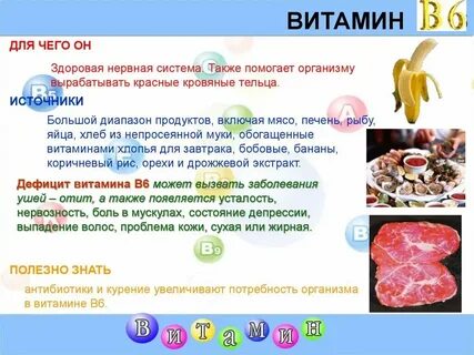 Польза витаминов группы в для женщин