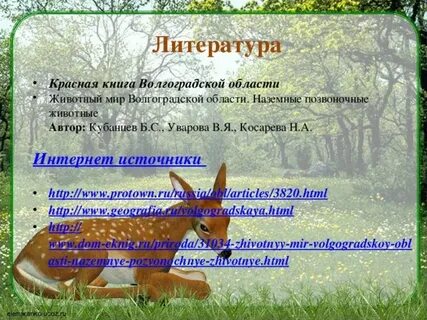 Волгоградская красная книга животные