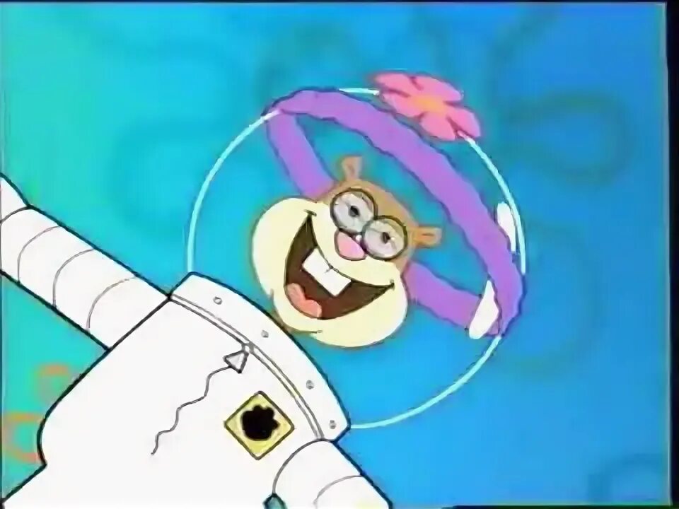 Spongebob 2005. Губка боб квадратные штаны vhs. spongebob pre hibernation week.