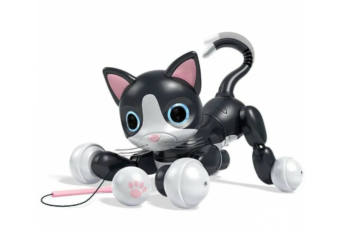 Интерактивная игрушки zoomer Kiti. Интерактивная игрушка робот zoomer Kitty робот-котенок. Игрушка Laffi кошка-робот интерактивная. MARSCAT робот-кошка.