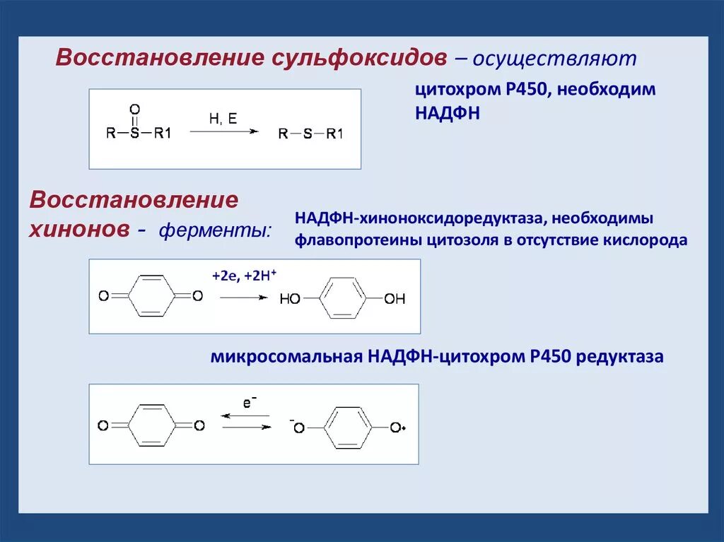 Ферменты восстановления. Регенерация ферментов. ПЕРОКСИДАЗНОЕ окисление. Процесс восстановления хинонов реакция.