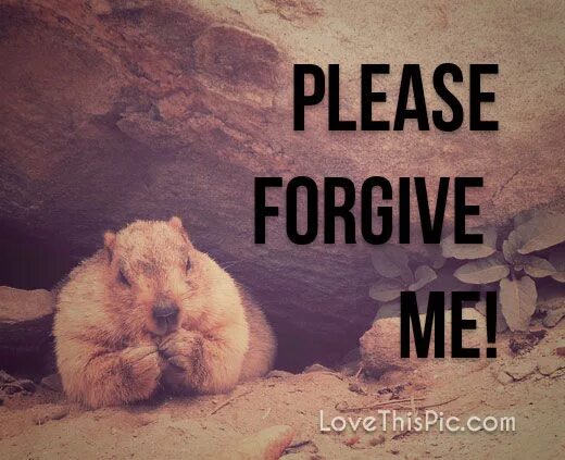 He forgive me. Forgive me. Please forgive me. Please forgive me картинки. Открытка forgive me.