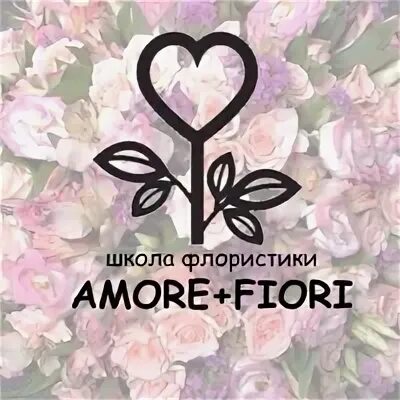 Amore fiori. Амори Фиори. Амор школа. Фиори забирает.