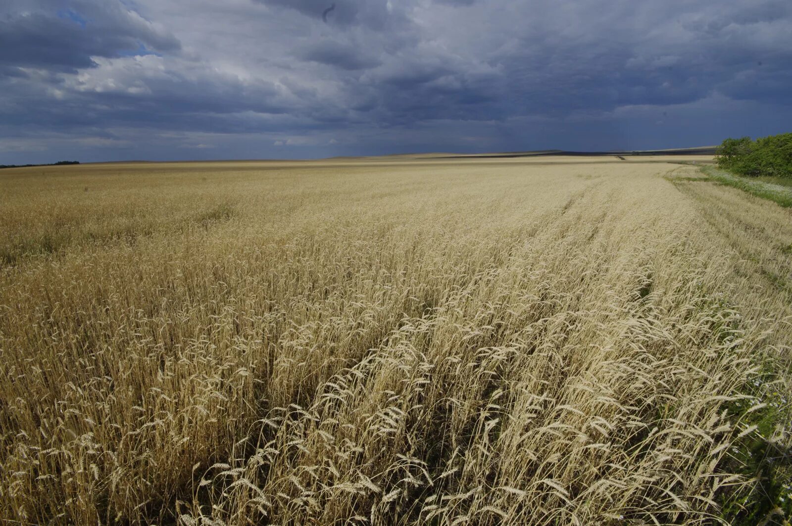каменное озеро оренбург саракташ. оренбургские просторы. степные просторы оренбург. оренбургские просторы. оренбургские просторы.
